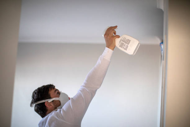 Best Attic Mold Removal  in Parker, FL