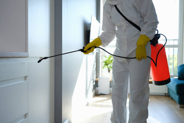  Parker, FL Mold Removal Pros