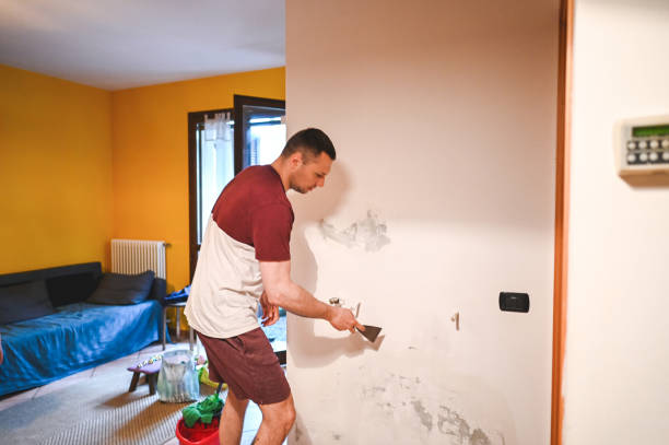 Best Certified Mold Removal  in Parker, FL