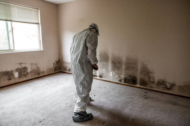 Best Office Mold Removal Services  in Parker, FL