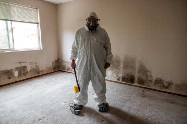 Best Mold Removal Specialists  in Parker, FL